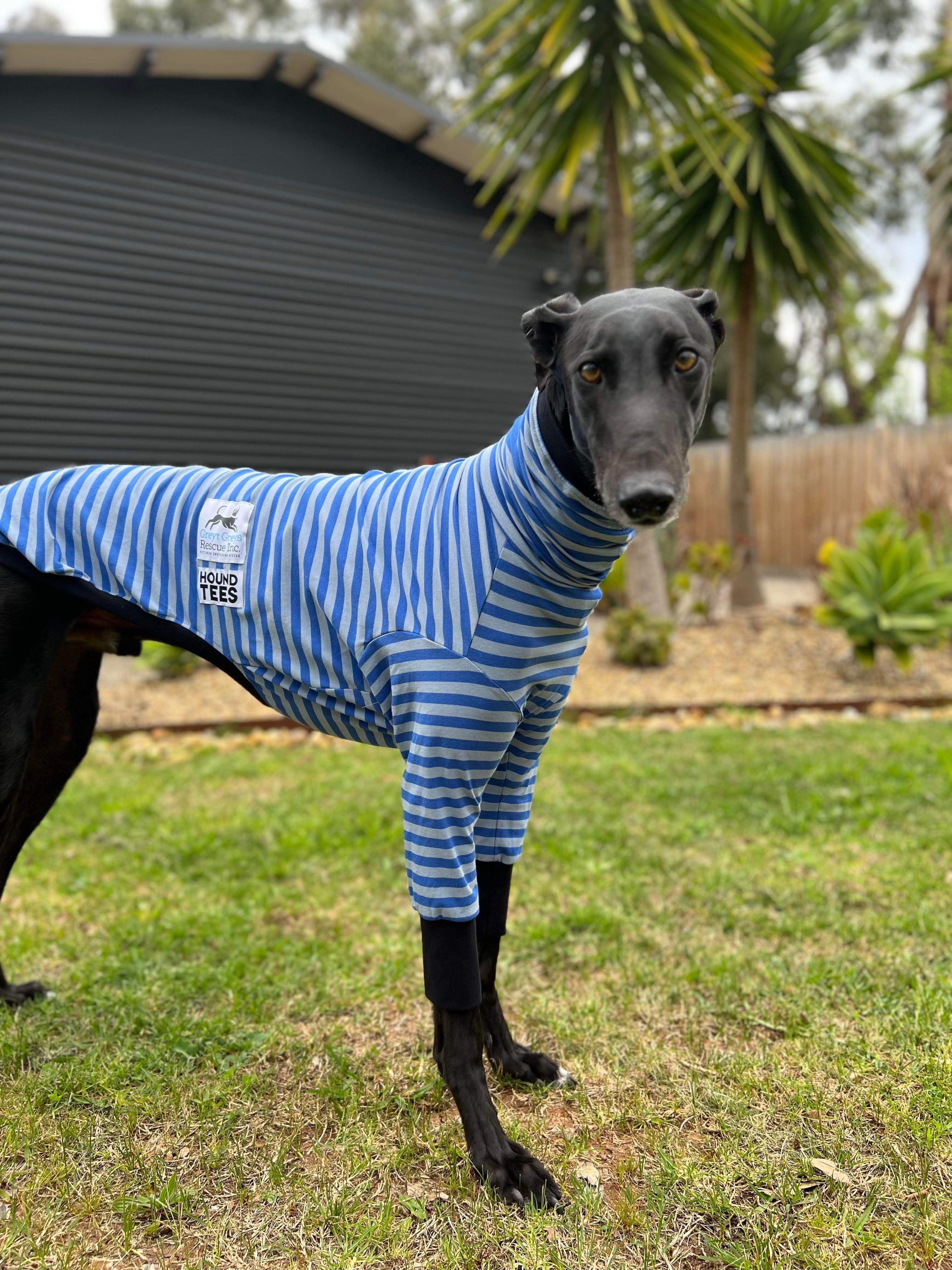 Greyt Greys x Hound-Tees