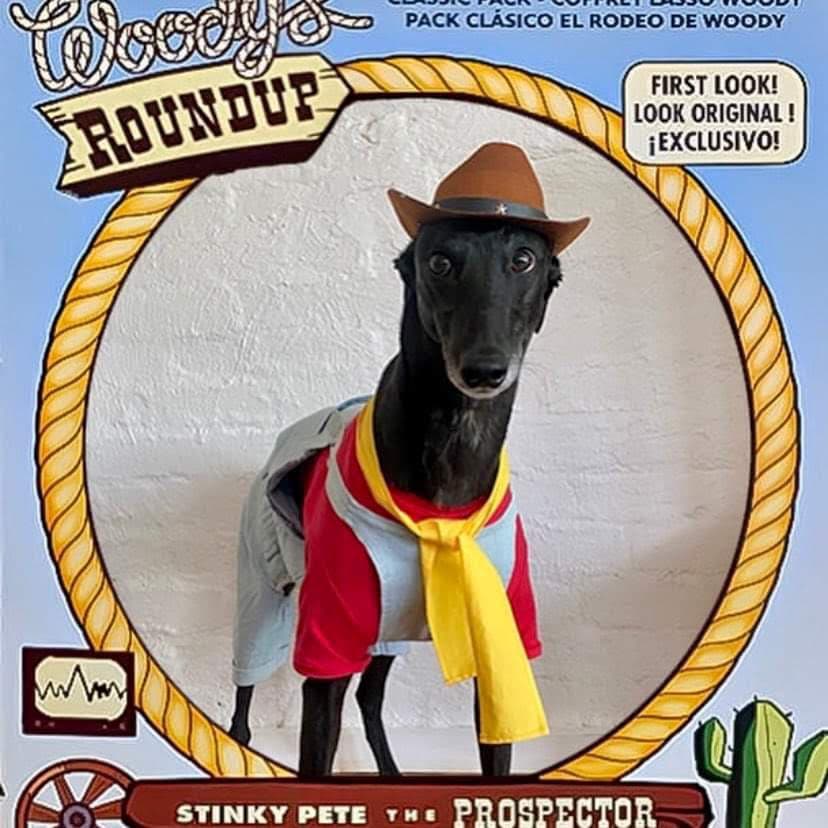 Happy Howl-O-Ween from Greyt Greys