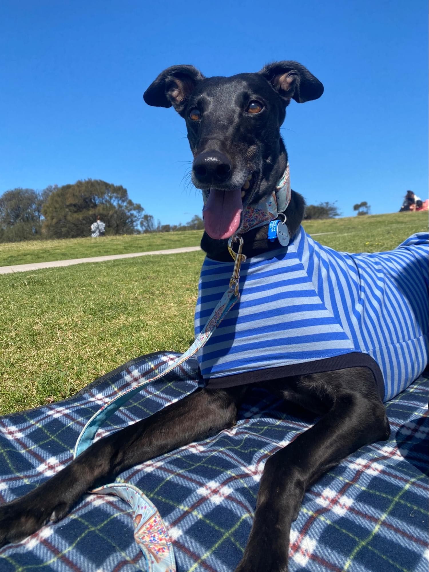 Sidney X Pebbles - From Foster to Forever