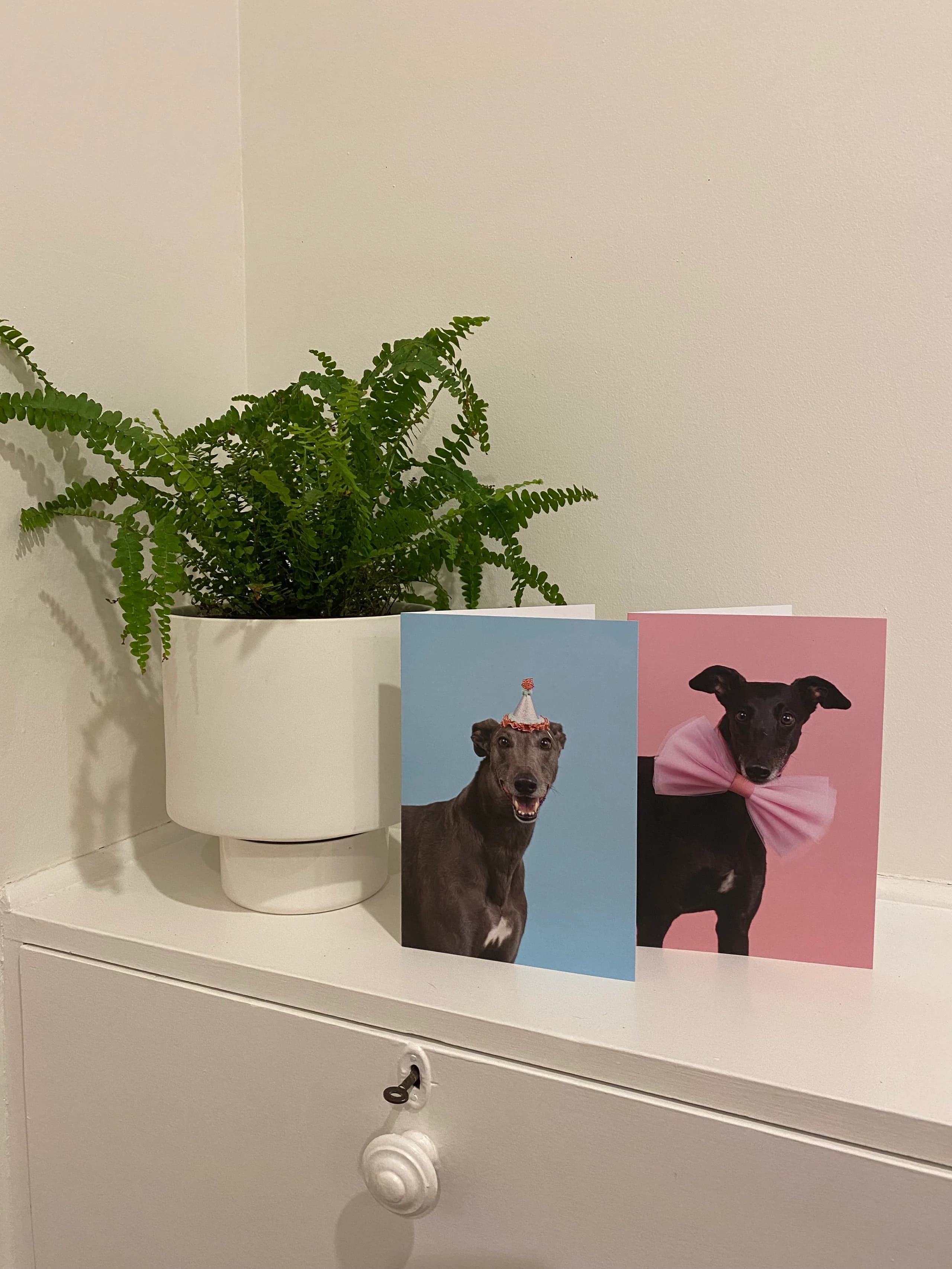 Valentine's Day Gift Guide