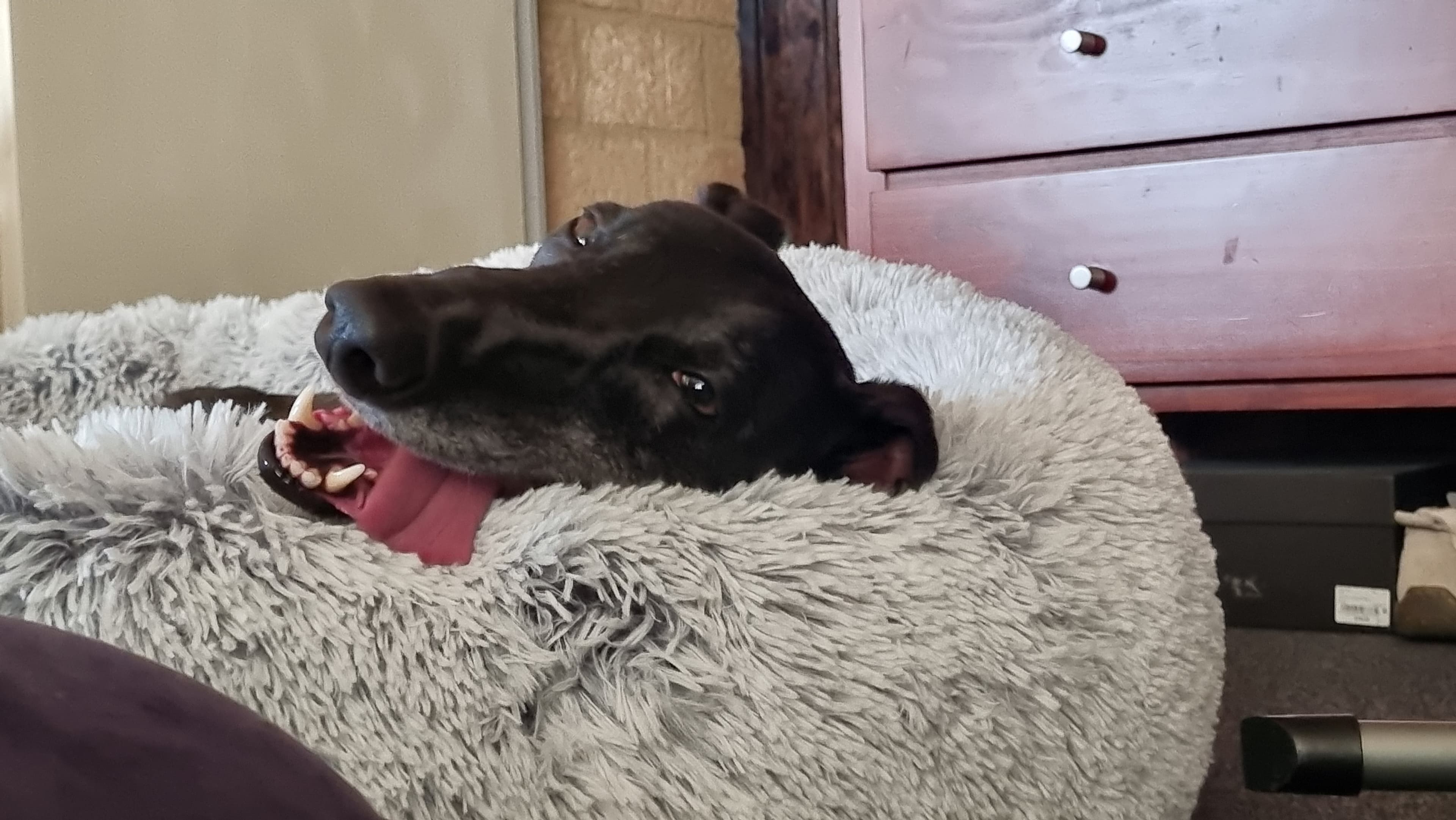 Happy Home - Sally, Josh & John