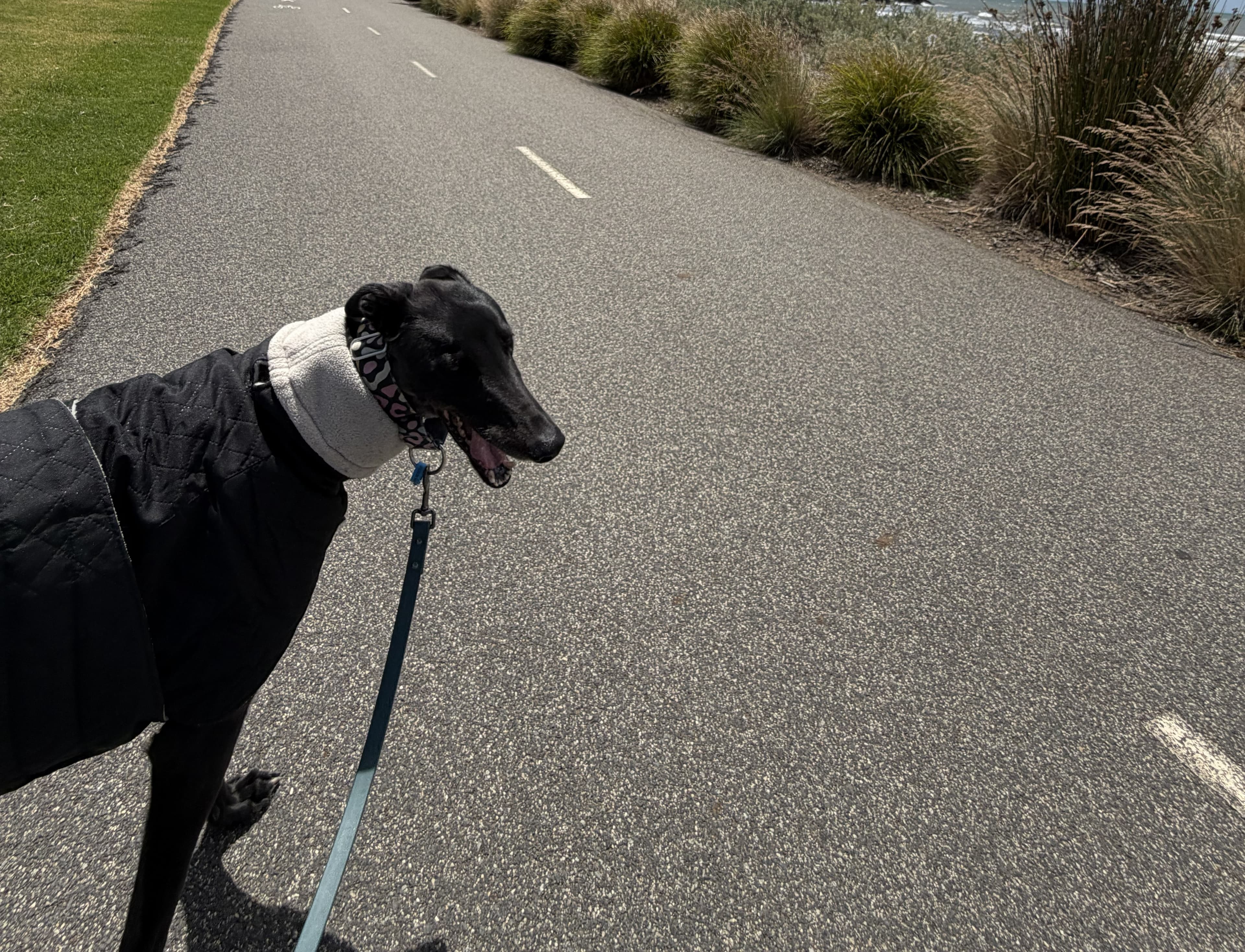 Foster Carer Profile - Jing and Bruce Test