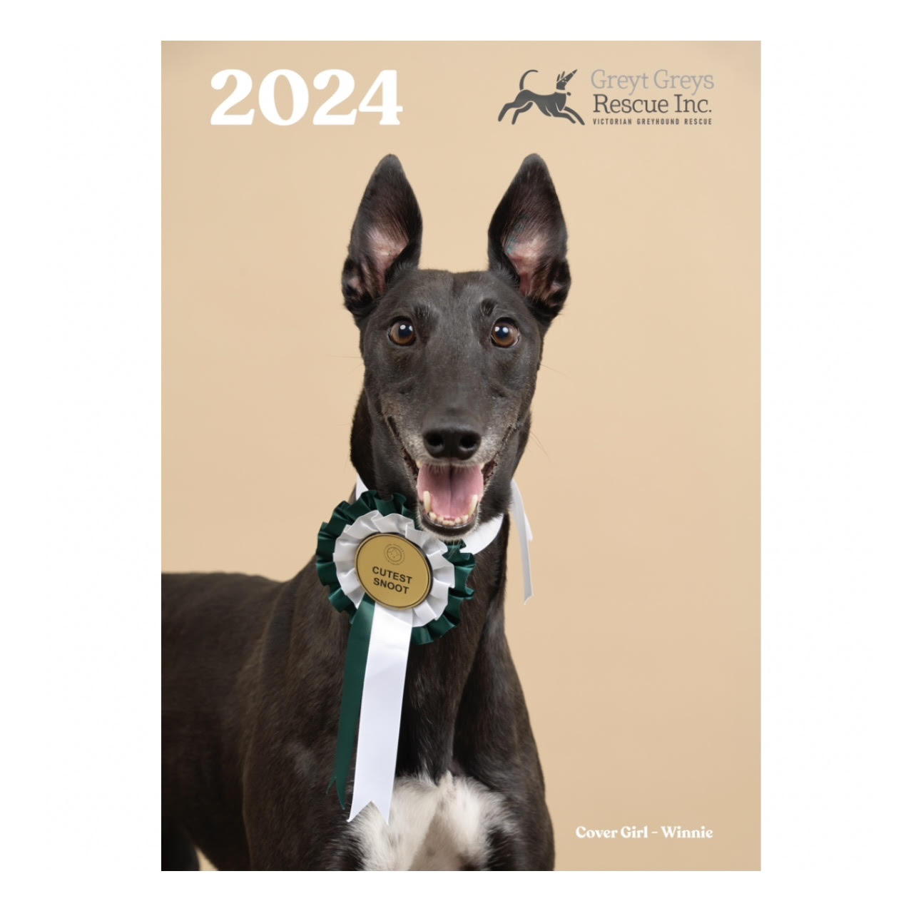 Greyt Greys Calendar 2024